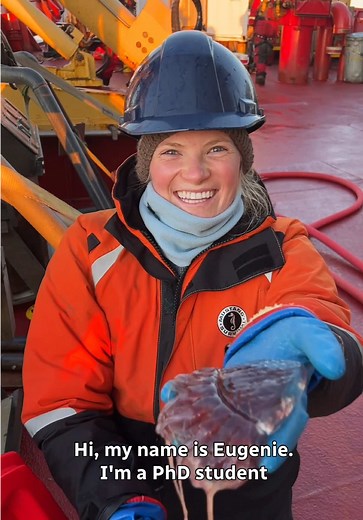 Impact of Global Warming on Arctic Ecosystem Revealed