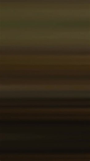 🍄‍🟫 Fungus is a kingdom of its own and seems to display intelligence #fungus #hardyarns | The Hard Yarns Podcast