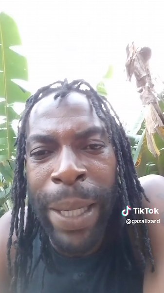 Message from Gaza Lizard to Clive Lizard Williams Family