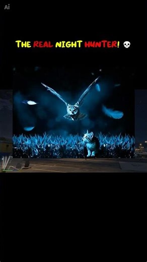 You won’t believe these owl facts 🦉