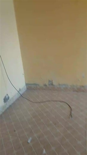 Affordable Rent at Mowlem - Contact Workmate Agency