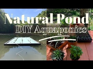 DIY Aquaponics | Growing Food on a Natural Pond | Off Grid Gardening