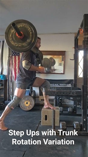 Step Ups with Trunk Rotation Variation 1 #operationantifragile