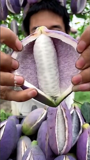 Chinese Most Delicious Fruits 🇨🇳 #shorts #plants #china