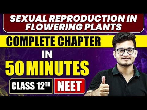 SEXUAL REPRODUCTION IN FLOWERING PLANTS in 50 Minutes | Full Chapter Revision | Class 12th NEET