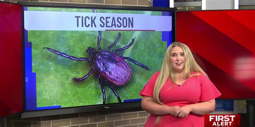 How to protect yourself during tick season