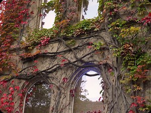 9K views · 209 reactions | Autumn vibes on campus  | The University of Manchester | Facebook