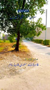 159 reactions · 24 shares | https://wa.me/923006207788 Rizwan Himmat Mayo | Rizwan Himmat Mayo | Facebook