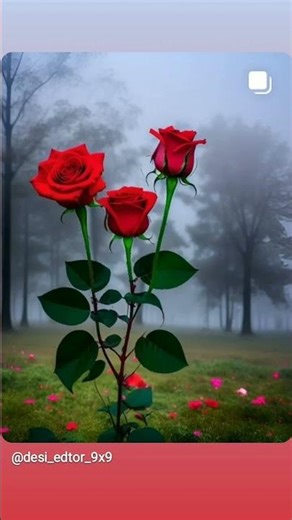 😇😇😇😇😇😇😇😇😇😇