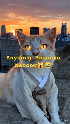 Cat with Glowing Eyes🙀👀✨#shorts