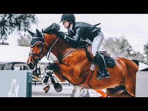 Stressed Out || Equestrian Music Video