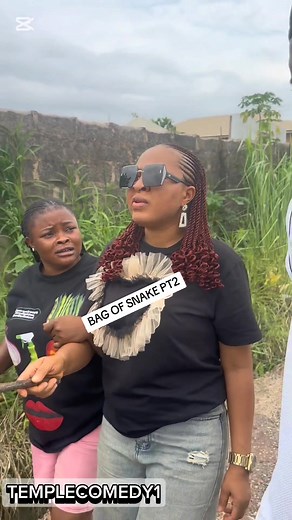 Is Templecomedy on TikTok