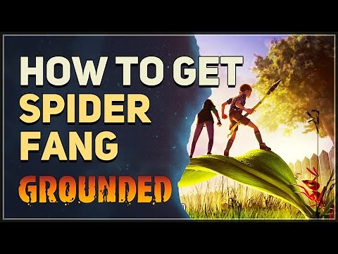 How to get Spider Fang Grounded