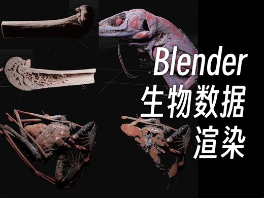 极速搞定 Blender 生物数字孪生