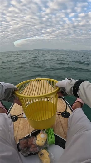 三天了 你知道钓鱼佬的三天是怎么内向的吗 #钓鱼 #路亚 #户外 #海钓 #现钓现吃