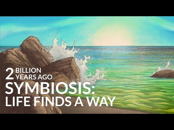 How Did Life Recover From The First Mass Extinction?