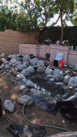 Flow Landscape / Flow Aquascapes on Instagram: "Year 0 to 1. Our client sent us the year 1 photo which includes the landscaping he installed himself! 🙌 And if you haven’t seen it yet, please check out our first full length YouTube pond build video (link in bio)! We walk you through the build, reveal and explain some of our thought process. #aquascape #goldfish #pond #waterfall #waterfeature #watergarden"