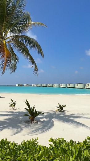 1.9K views · 3.1K reactions | Maldives Dream Paradise at @centaragrandlagoonmaldives 冀✨ @travellmagazine | TRAVEL magazine | Facebook