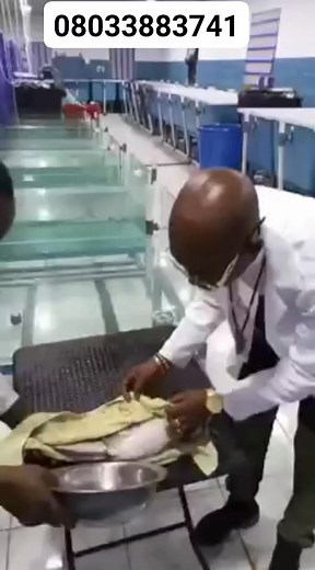 Adeyemo Simon on Reels