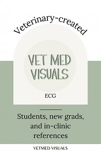 Veterinary ECG Chart With Treatments | Canine & Feline Arrhythmia Reference | Vet Student, DVM, Vet Tech Digital Download - Etsy Canada