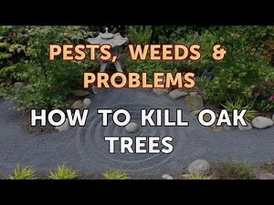 How to Kill Oak Trees