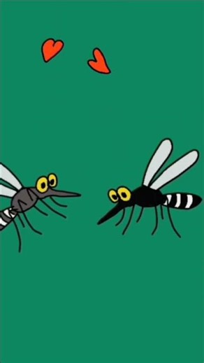mating mosquitoes animation funny #fypシ゚viral #shortviral