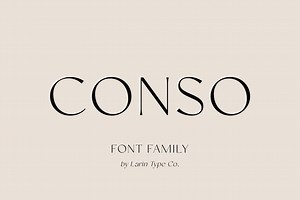 Conso | Font Family, a Sans Serif Font by Larin Type Co.