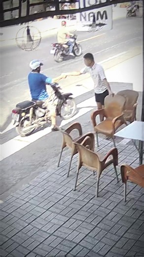 Vui vẻ mùa xuân: Anh em và hoa nở