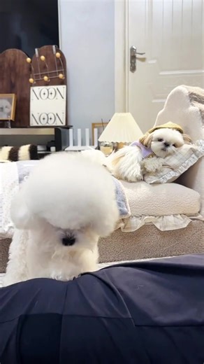 Cố Gắng Mỗi Ngày Để Vợ Sống Sang