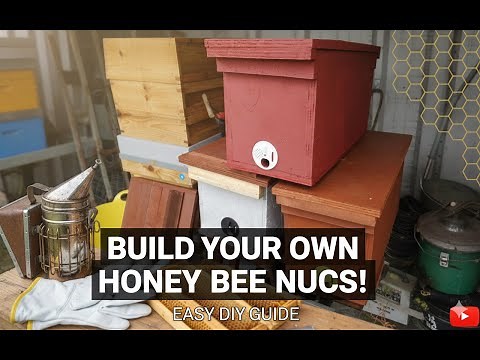 How I Build Simple & Easy Honey Bee Nuc Boxes..
