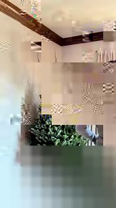 15K views · 123 reactions | Roses are a classic flower for any...