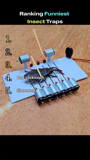 Ranking funniest Insect Traps