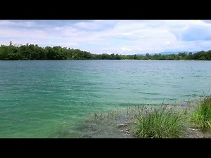 "Stagnum" (2024) de Gérard Courant