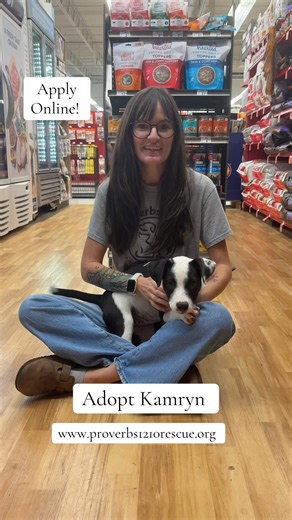 2.5K views · 119 reactions | https://www.proverbs1210rescue.org/animals/detail?AnimalID=21878265 | Proverbs 12:10 Animal Rescue | Facebook