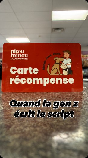 Quand on laisse la Gen Z écrire le script… 🎬✨ C’est du chaos organisé, des punchlines qui claquent, et une énergie qui déborde. On est peut-être un peu fous, mais quand il s’agit de donner des conseils que ce soit pour vos pitous, vos minous ou autres.. on ne rigole pas. On prend ça au sérieux parceque vos animaux nous tiennent à coeur. 💁‍♀️🐾💡 #GenZPower #ConseilsAvecPanache #PitouMinouStyle #OnEstPasJusteCute #GenZVibes #ConseilsDePros | Pitou Minou & Compagnons Longueuil