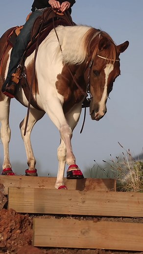 Scoot Boots for Natural Movement Across All Terrain!
