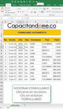 Como crear un Formulario automático....Sin Programar !!!!