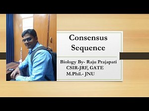 Consensus sequences in DNA/RNA