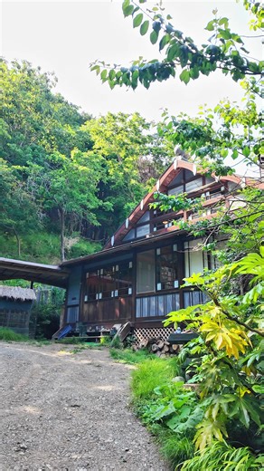 不思議な世界観。アートに浸るカフェ 📍 山猫軒 ─－うりレポ─－ ここは、越生にある独特な世界観のカフェ☕️ 敷地内には、オブジェや“猫の扉”など アート空間が広がっています🚪🐈 カフェというより、メインはギャラリーのような場所。 でも、お食事も美味しくてゆったり過ごせました◎ 静かで落ち着いた雰囲気なので、自然の中でのんびりしたい日におすすめです🌿 ⚠️注意点 ・キャッシュレス対応ですが、手数料の関係で「なるべく現金払い」で案内されています💴 ・鶏が放し飼いになっています🐓 わんこOKですが、リードはしっかり持つのがおすすめです！ ・かなり独特な世界観なので、好みは分かれるかも…！でも、唯一無二な雰囲気。 ─－ information ─－ 🏠 山猫軒 📍 埼玉県入間郡越生町龍ヶ谷137-5 🕕11:00-19:00 （定休日月〜木） 💰¥1,000〜¥2,000 ※最新情報は公式HP又はSNSのご確認をお願いします！ ・・・・・・・・・・・・・・・・・・・・• 生まれも育ちも埼玉県私が、まだ知らない埼玉の魅力を探しに探検🔎 “心もお腹も満たされる休日”をテーマ
