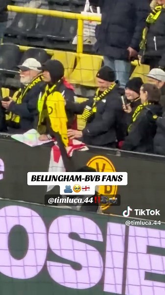 Celebrating Bellingham's Journey with BVB Fans