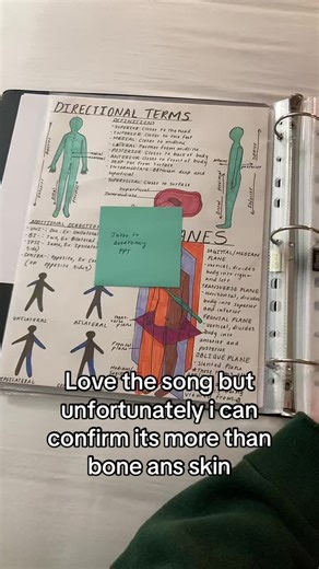 I am in an academic hell of my own creation #anatomy #assignment #fyp #art #artist #school #college #foryoupageofficiall