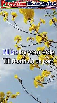 Till Death Do Us Part, Karaoke version #shortvideo #precomkaraoke