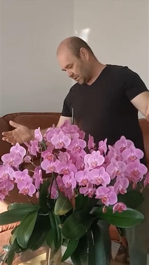 How to grow an orchid
