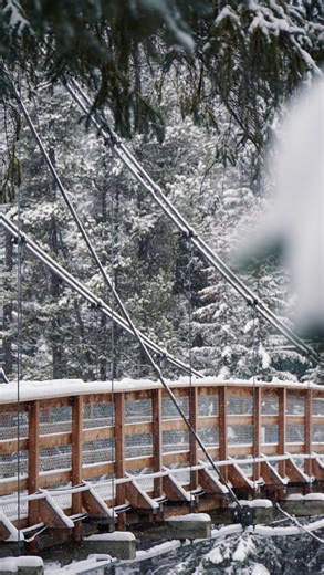 Apparently we just need to turn the lifts on to get the snow started! ☃️🚡 Flakes have been falling since yesterday afternoon making for soft turns on the fresh groom this morning, and a nice refresh on ungroomed trails! We’re skiing top to bottom, so if you’re looking at racking up some serious vertical and testing those early-season jelly legs it’s time to grab your gear and get up here! Plus, the forecast doesn’t look too shabby either! 😉 Head to the link in our bio to see open terrain, the 