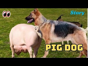 A Discovery That Baffled Scientists: A Creature with a Dog’s Mind and a Pig’s Body!