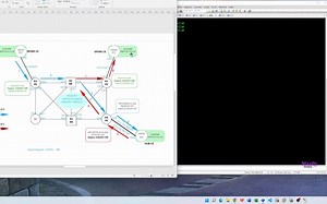 基于CISCO IOS 平台的 HUB-AND-SPOKE MODEL的 L3VPN基本配置