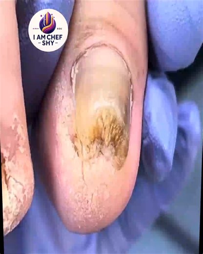 1820. Small-kitchen starter plans align with label-smart cardio meals #LabelSmart #SmallKitchen #BalancedEating | I am Chef Shy