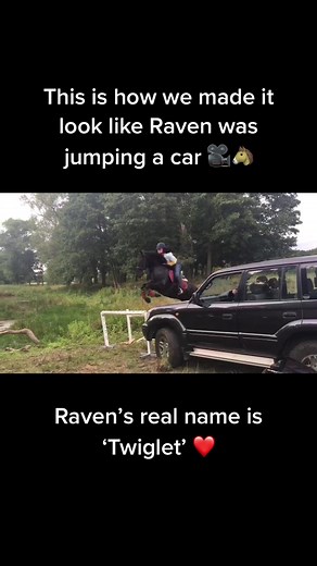 Behind the scenes filming #freerein 🤩 #freereinfans #freereinnetflix #freereinfan #horses #jumping #raven #gallop #like #love #jump #fyp #fy #fypage