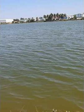 Haragadde lake / ಹಾರಗದ್ದೆ ಕೆರೆ, Bengaluru