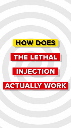 Understanding Lethal Injection Procedures